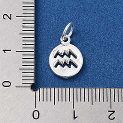 925 Sterling Silver Constellations Charms&nbsp;LS-STER-M118-01E