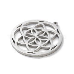 Anti-Tarnish 304 Stainless Steel Pendants&nbsp;STAS-S149-02P