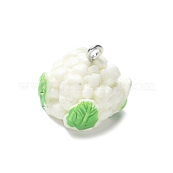 Resin Iron Pendants&nbsp;LS-RESI-D280-07