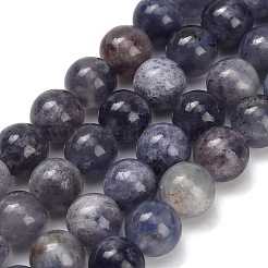 Natural Iolite Beads Strands&nbsp;X-G-G300-A04-8mm