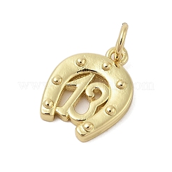 Horse Shoe Rack Plating Brass Pendants&nbsp;KK-Z074-34G