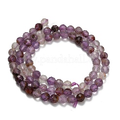 Natural Purple Phantom Quartz/Purple Lodolite Quartz Beads Strands&nbsp;G-L661-A01-5mm