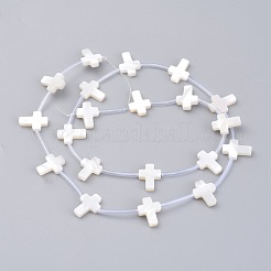 Natural White Shell Mother of Pearl Shell Beads&nbsp;SSHEL-L018-009