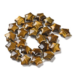 Natural Tiger Eye Beads Strands&nbsp;G-NH0005-007