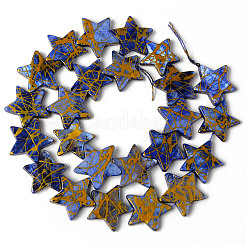 Natural Freshwater Shell Beads Strands&nbsp;X-SHEL-N026-91B