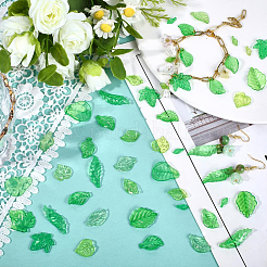 540Pcs 12 Styles Transparent Acrylic Pendants&nbsp;OACR-PA0001-50