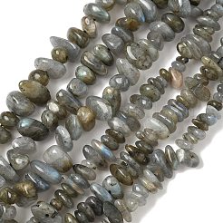 Natural Labradorite Beads Strands&nbsp;X-G-I225-15A