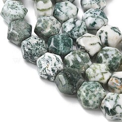 Natural Tree Agate Beads Strands&nbsp;G-G463-A07-10x11mm