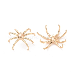 Brass Pendants&nbsp;KK-I701-02G