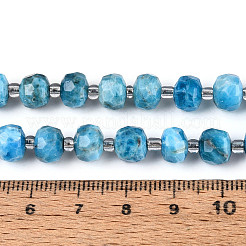 Natural Apatite Beads Strands&nbsp;G-N327-08A-07