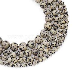4 Strands 4 Style Natural Dalmatian Jasper Beads Strands&nbsp;G-YS0001-06