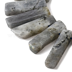 Natural Labradorite Beads Strands&nbsp;G-S386-D18