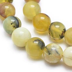 Natural Yellow Opal Round Bead Strands&nbsp;G-M296-02-6mm