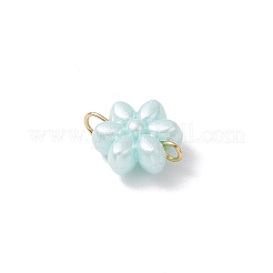 Acrylic Connector Charms&nbsp;PALLOY-JF04338-01