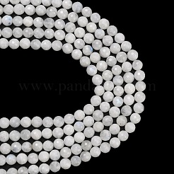 Natural Rainbow Moonstone Beads Strands&nbsp;G-C280-B15-8mm