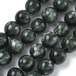 Natural Seraphinite Beads Strands&nbsp;G-C270-O01-13