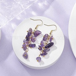 Natural Amethyst Chips Dangle Earrings&nbsp;EJEW-JE05266-01