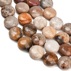 Natural Fossil Coral Beads Strands&nbsp;GG-CBA362F-02