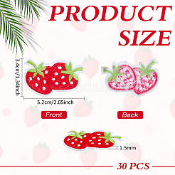 30Pcs Strawberry Computerized Embroidery Cloth Iron on/Sew on Patches&nbsp;PATC-FG0003-73B