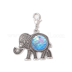 Resin Pendant Docorations&nbsp;HJEW-JM03704