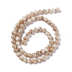 Drawbench Style Natural Freshwater Shell Beads Strands&nbsp;SHEL-F003-10B