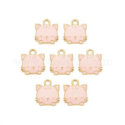 Eco-Friendly Zinc Alloy  Pendants&nbsp;ENAM-R051-01-02G-01-NR