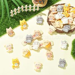 60Pcs Resin Cabochons&nbsp;RESI-CJZ0001-07
