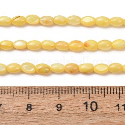 Dyed Natural Freshwater Shell Beads Strands&nbsp;SH-CBA2978-06B