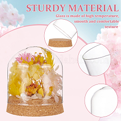 Glass Dome Cover&nbsp;AJEW-WH0165-40C
