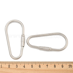 Non-Tarnish 304 Stainless Steel Screw Carabiner Lock Charms&nbsp;STAS-C092-06P