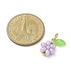 Acrylic Pendants&nbsp;PALLOY-JF04398