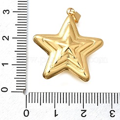 304 Stainless Steel Pendants&nbsp;STAS-H200-03G