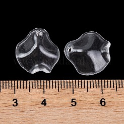 Transparent Acrylic Pendants&nbsp;TACR-G050-01F