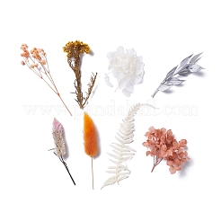 Dried Flowers&nbsp;DIY-D052-24