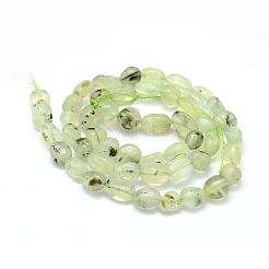 Natural Prehnite Beads Strands&nbsp;G-K230-20