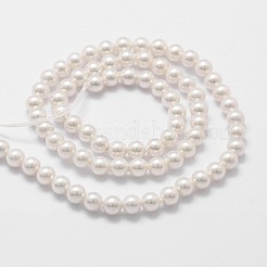 Shell Pearl Beads Strands&nbsp;BSHE-L025-01-6mm