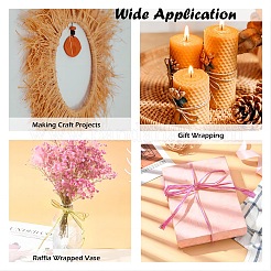 Raffia Ribbon&nbsp;SENE-PW0003-104O