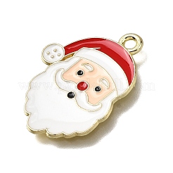 Alloy Enamel Pendants&nbsp;FIND-Z094-03G-06