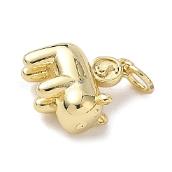 Brass Charms&nbsp;KK-B155-16G