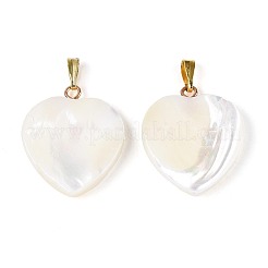 Natural Trochus Shell Pendants&nbsp;SSHEL-T017-41