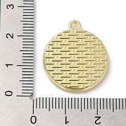 Alloy Pendant&nbsp;FIND-C041-01A-G