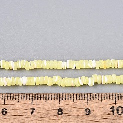 Natural Trochid Shell/Trochus Shell Beads Strands&nbsp;SSHEL-N040-21G
