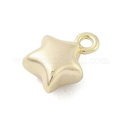 Brass Charms&nbsp;KK-S514-06A-G