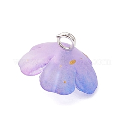 Acrylic Charms&nbsp;PALLOY-JF04521