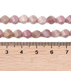 Natural Rhodonite Beads Strands&nbsp;G-P611-C27-01
