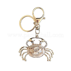 Zinc Alloy Keychain&nbsp;PW-WG1C14D-01