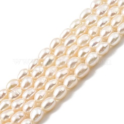 Natural Cultured Freshwater Pearl Beads Strands&nbsp;PEAR-I007-01O-01E