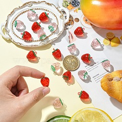 10Pcs Transparent Acrylic Pendants&nbsp;OACR-YW0002-31A