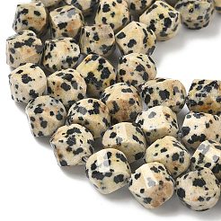 Natural Dalmatian Jasper Beads Strands&nbsp;G-C267-B21