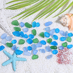 80Pcs Ocean Series Glass Display Decoration&nbsp;DJEW-PA0001-04B